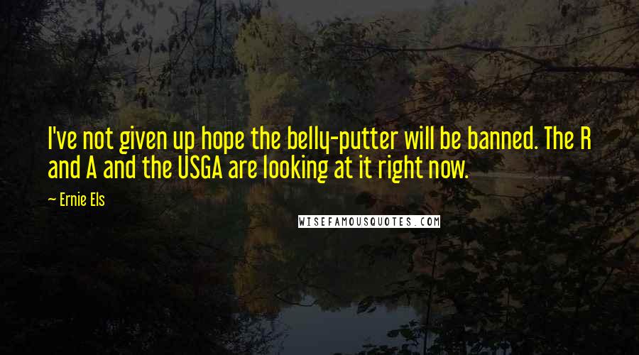 Ernie Els Quotes: I've not given up hope the belly-putter will be banned. The R and A and the USGA are looking at it right now.