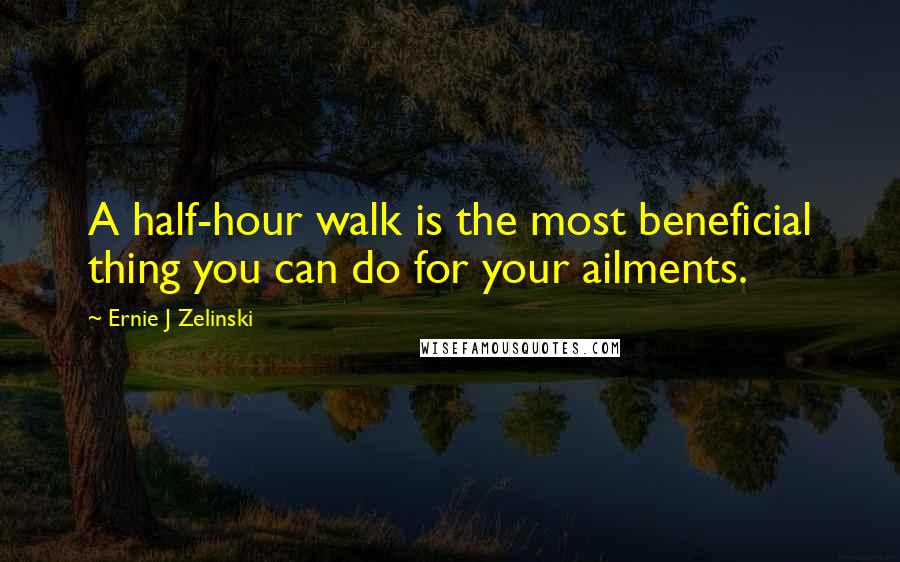 Ernie J Zelinski Quotes: A half-hour walk is the most beneficial thing you can do for your ailments.