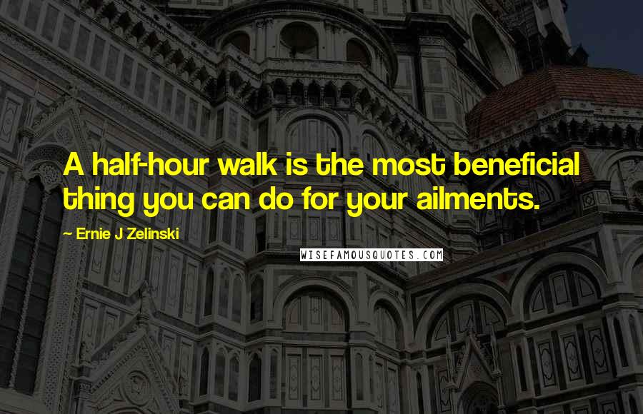 Ernie J Zelinski Quotes: A half-hour walk is the most beneficial thing you can do for your ailments.