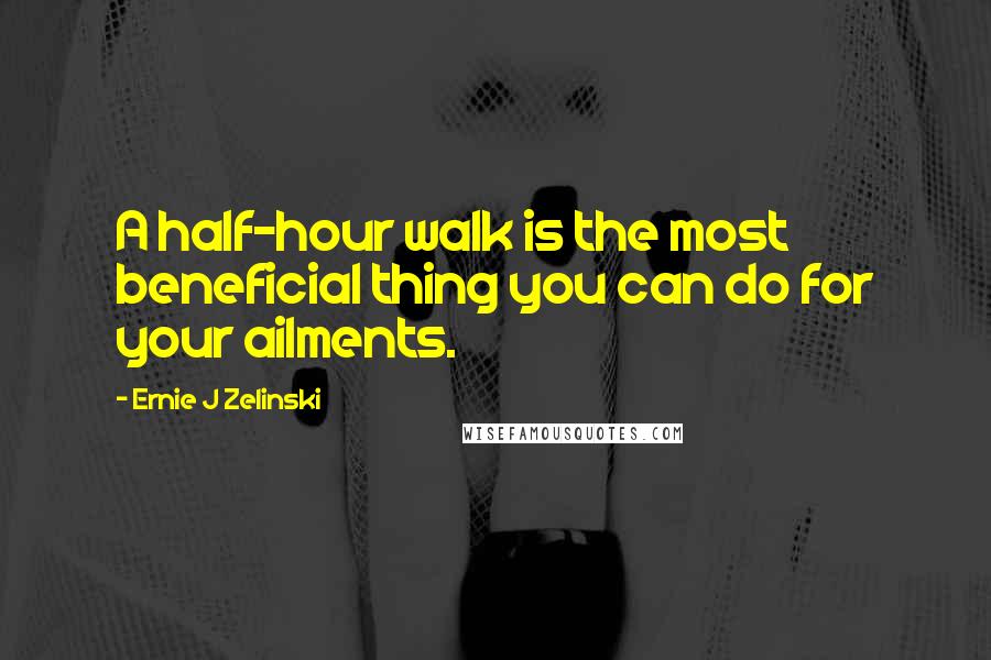 Ernie J Zelinski Quotes: A half-hour walk is the most beneficial thing you can do for your ailments.