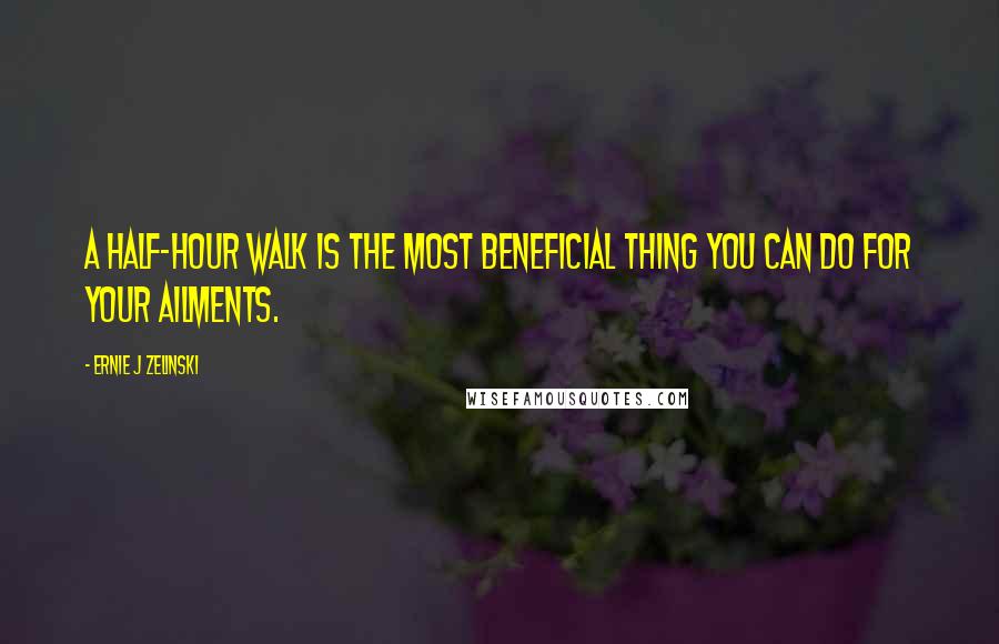 Ernie J Zelinski Quotes: A half-hour walk is the most beneficial thing you can do for your ailments.