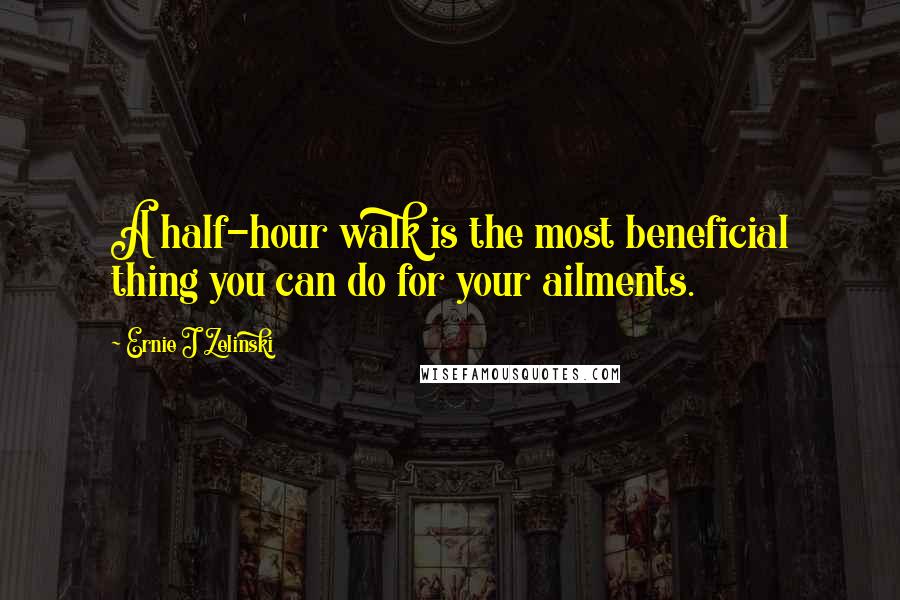 Ernie J Zelinski Quotes: A half-hour walk is the most beneficial thing you can do for your ailments.