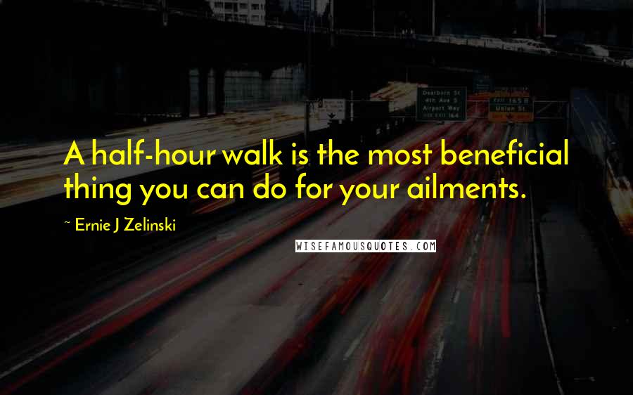 Ernie J Zelinski Quotes: A half-hour walk is the most beneficial thing you can do for your ailments.