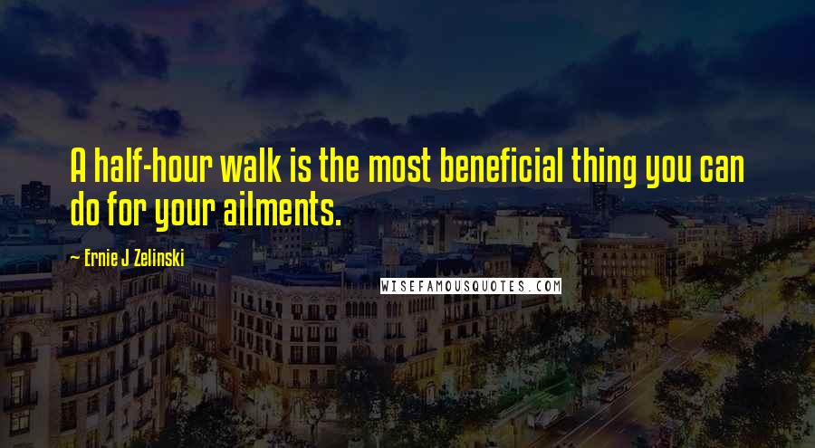 Ernie J Zelinski Quotes: A half-hour walk is the most beneficial thing you can do for your ailments.