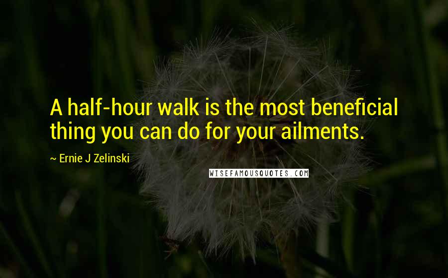 Ernie J Zelinski Quotes: A half-hour walk is the most beneficial thing you can do for your ailments.