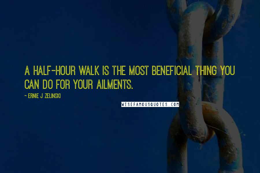 Ernie J Zelinski Quotes: A half-hour walk is the most beneficial thing you can do for your ailments.