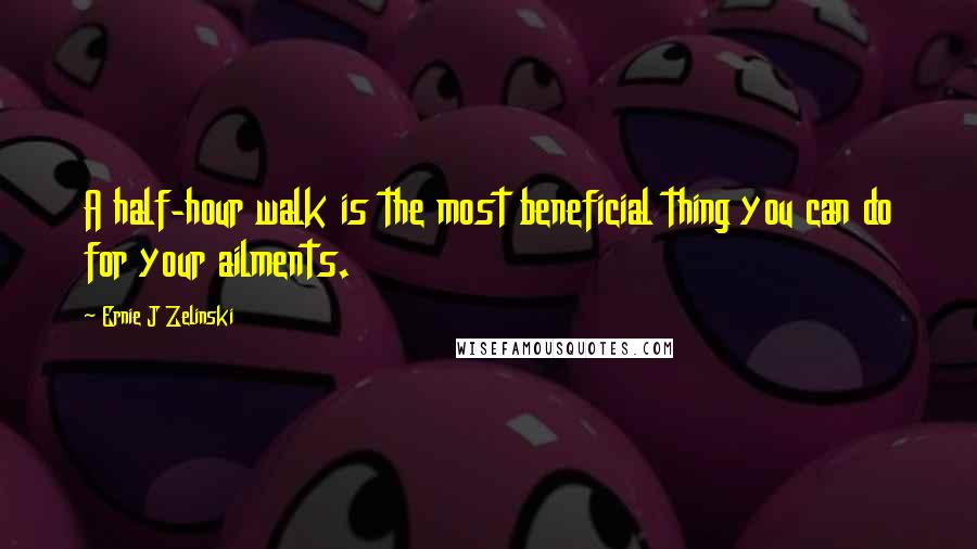 Ernie J Zelinski Quotes: A half-hour walk is the most beneficial thing you can do for your ailments.