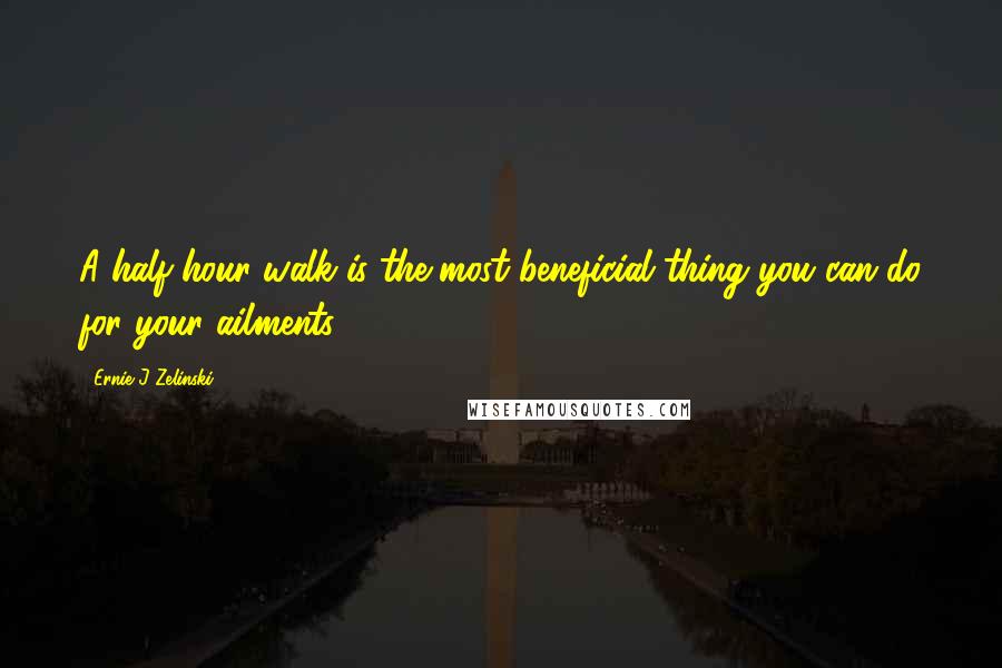 Ernie J Zelinski Quotes: A half-hour walk is the most beneficial thing you can do for your ailments.