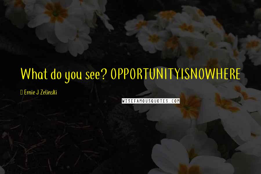 Ernie J Zelinski Quotes: What do you see? OPPORTUNITYISNOWHERE