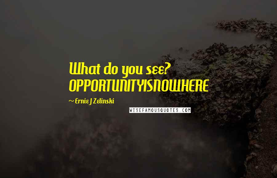 Ernie J Zelinski Quotes: What do you see? OPPORTUNITYISNOWHERE