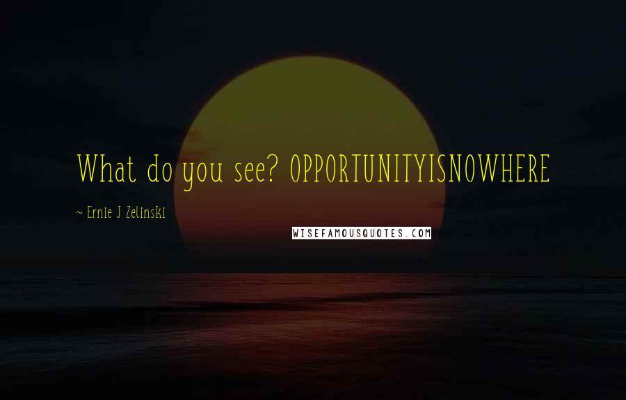 Ernie J Zelinski Quotes: What do you see? OPPORTUNITYISNOWHERE
