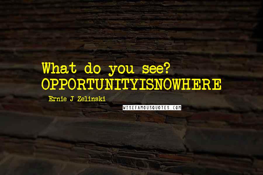 Ernie J Zelinski Quotes: What do you see? OPPORTUNITYISNOWHERE