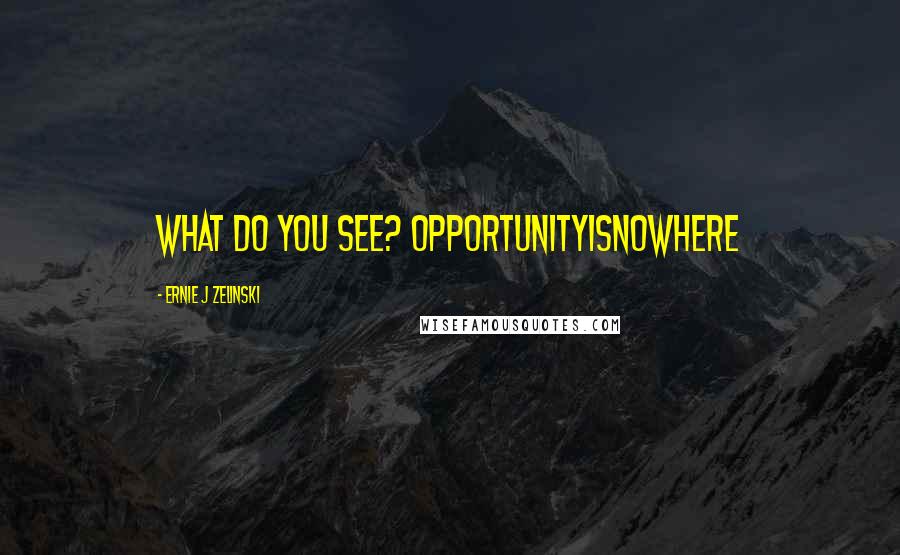 Ernie J Zelinski Quotes: What do you see? OPPORTUNITYISNOWHERE