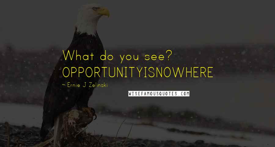 Ernie J Zelinski Quotes: What do you see? OPPORTUNITYISNOWHERE