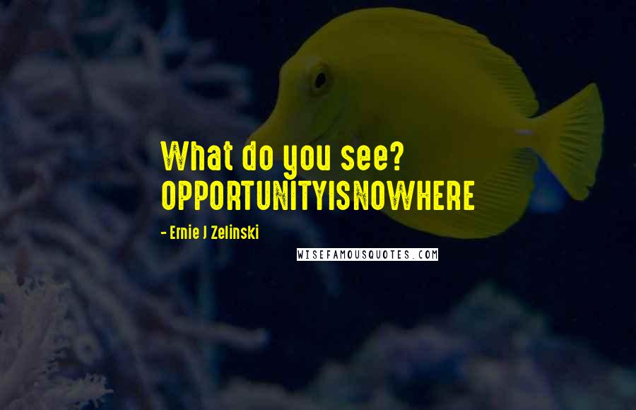 Ernie J Zelinski Quotes: What do you see? OPPORTUNITYISNOWHERE