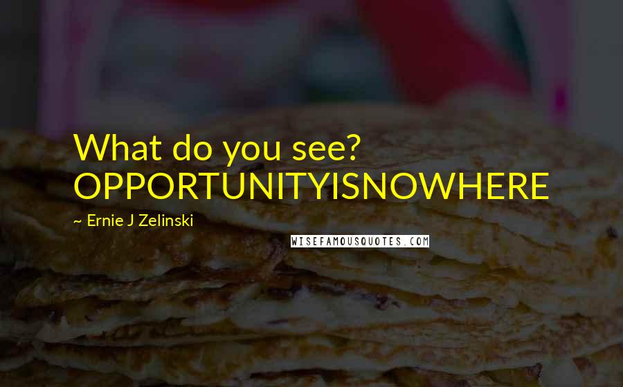 Ernie J Zelinski Quotes: What do you see? OPPORTUNITYISNOWHERE