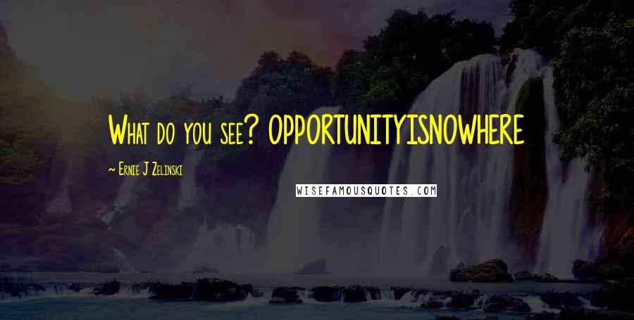 Ernie J Zelinski Quotes: What do you see? OPPORTUNITYISNOWHERE