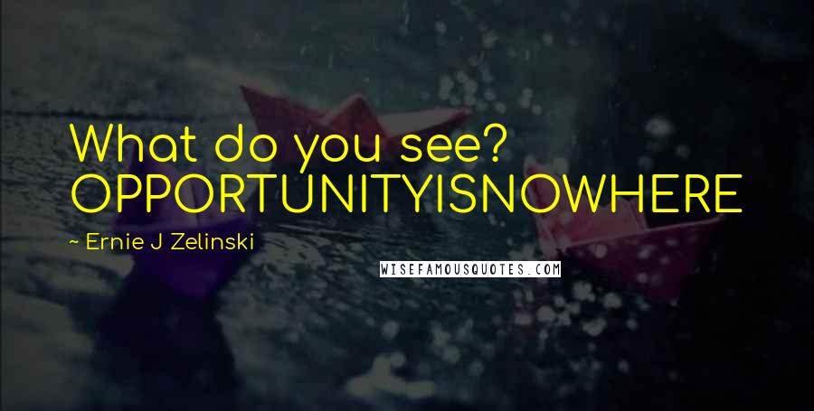 Ernie J Zelinski Quotes: What do you see? OPPORTUNITYISNOWHERE