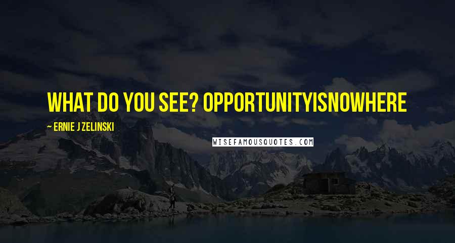 Ernie J Zelinski Quotes: What do you see? OPPORTUNITYISNOWHERE