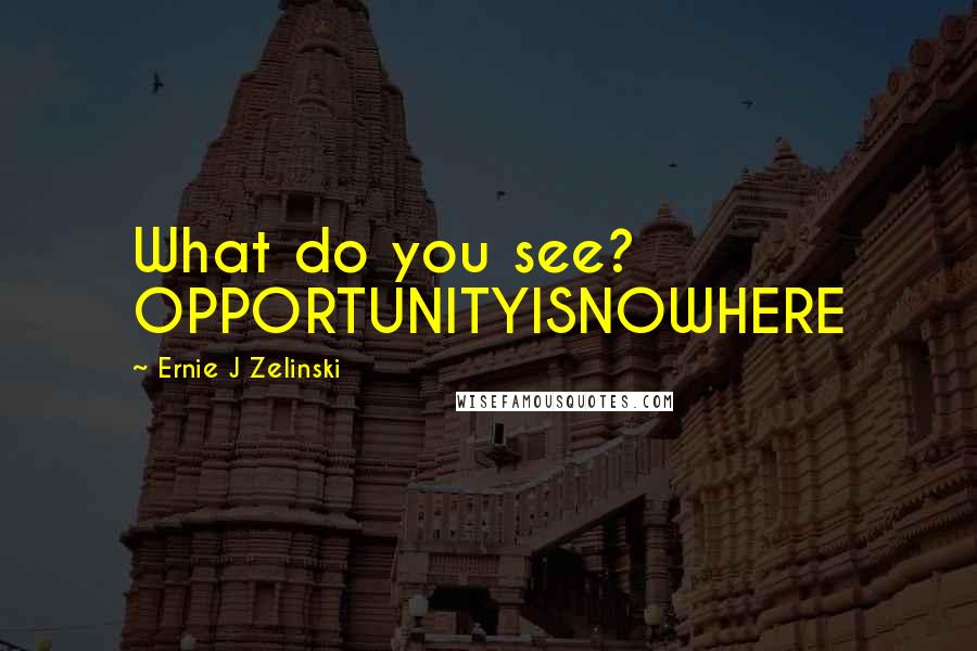 Ernie J Zelinski Quotes: What do you see? OPPORTUNITYISNOWHERE