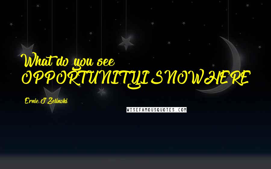 Ernie J Zelinski Quotes: What do you see? OPPORTUNITYISNOWHERE