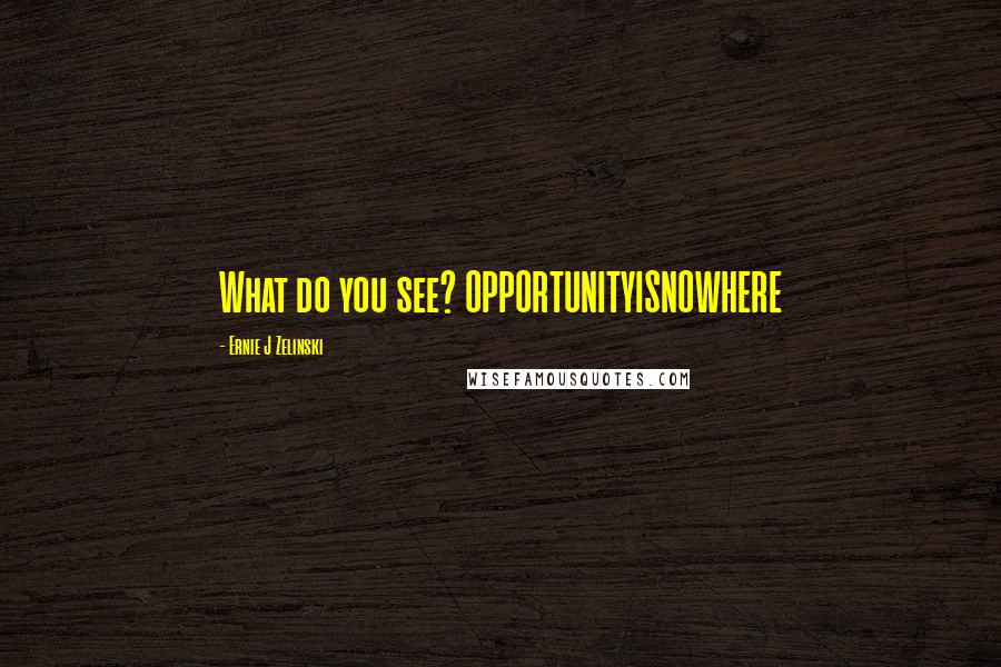 Ernie J Zelinski Quotes: What do you see? OPPORTUNITYISNOWHERE