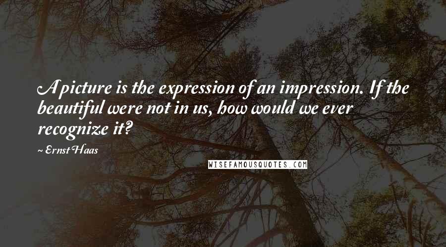 Ernst Haas Quotes: A picture is the expression of an impression. If the beautiful were not in us, how would we ever recognize it?