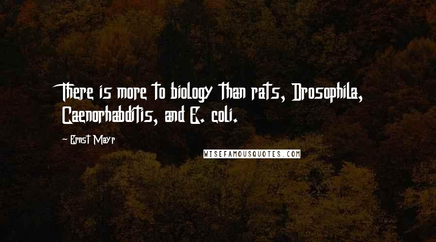 Ernst Mayr Quotes: There is more to biology than rats, Drosophila, Caenorhabditis, and E. coli.