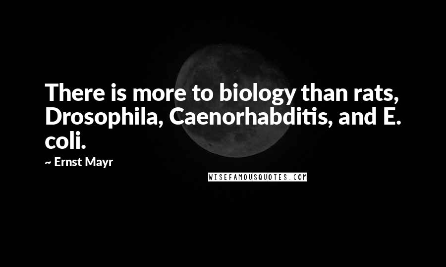 Ernst Mayr Quotes: There is more to biology than rats, Drosophila, Caenorhabditis, and E. coli.