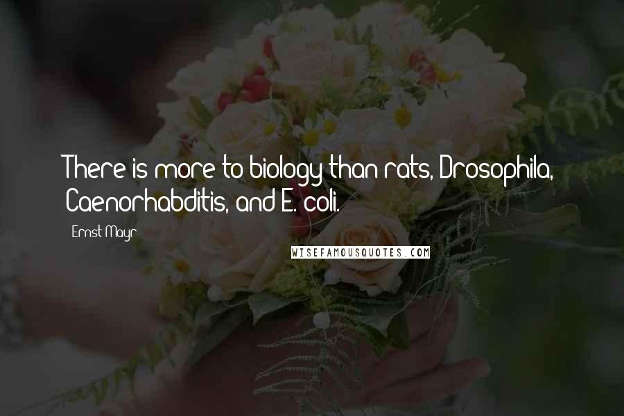 Ernst Mayr Quotes: There is more to biology than rats, Drosophila, Caenorhabditis, and E. coli.