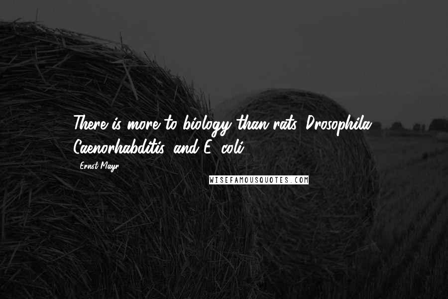 Ernst Mayr Quotes: There is more to biology than rats, Drosophila, Caenorhabditis, and E. coli.