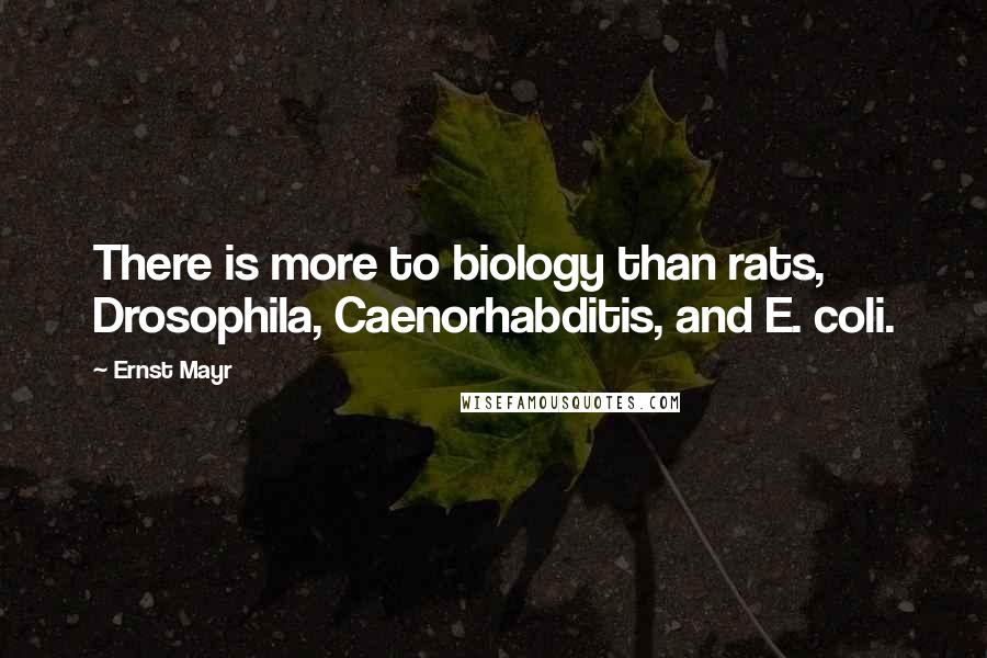 Ernst Mayr Quotes: There is more to biology than rats, Drosophila, Caenorhabditis, and E. coli.