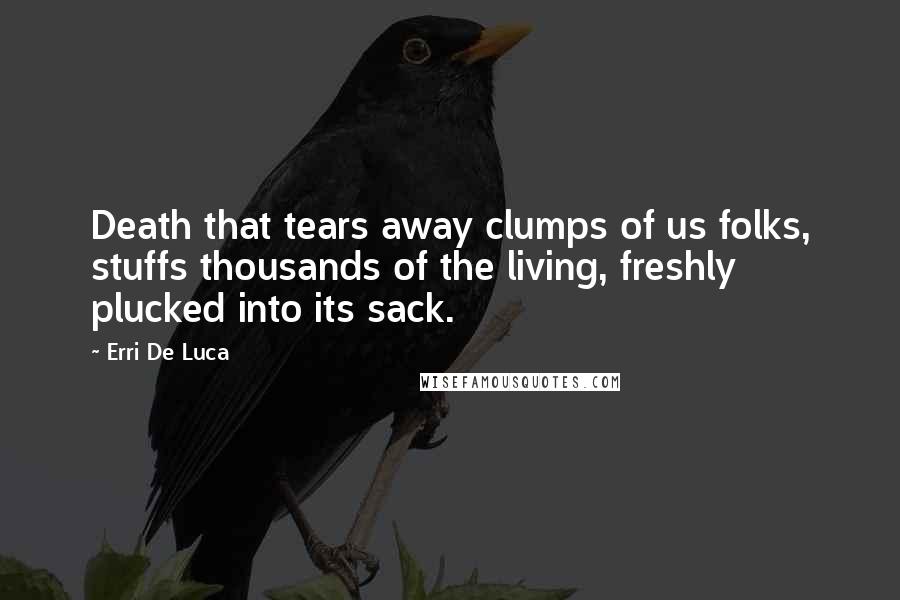 Erri De Luca Quotes: Death that tears away clumps of us folks, stuffs thousands of the living, freshly plucked into its sack.