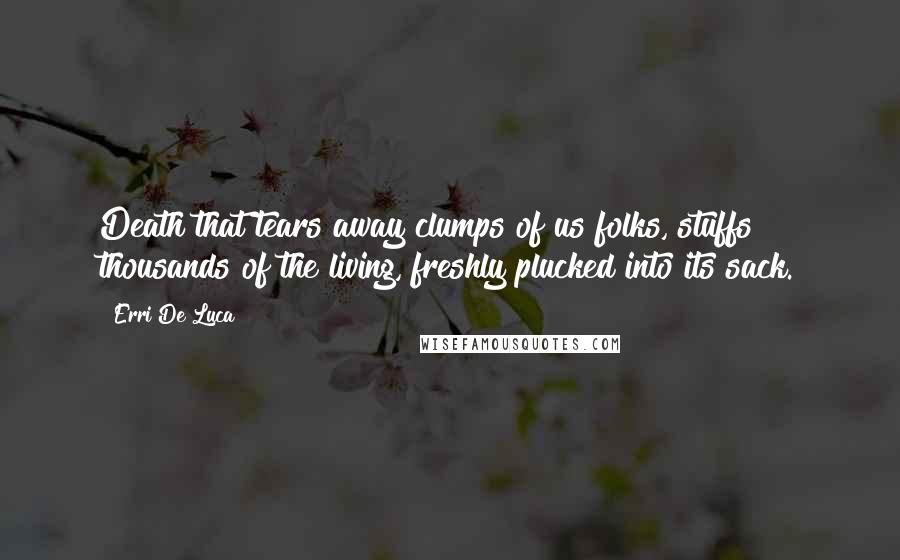 Erri De Luca Quotes: Death that tears away clumps of us folks, stuffs thousands of the living, freshly plucked into its sack.