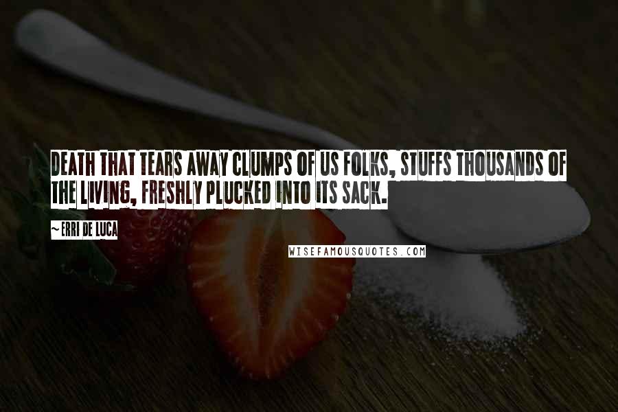 Erri De Luca Quotes: Death that tears away clumps of us folks, stuffs thousands of the living, freshly plucked into its sack.