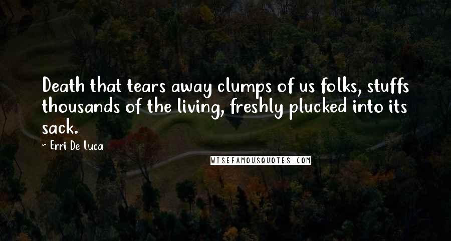 Erri De Luca Quotes: Death that tears away clumps of us folks, stuffs thousands of the living, freshly plucked into its sack.