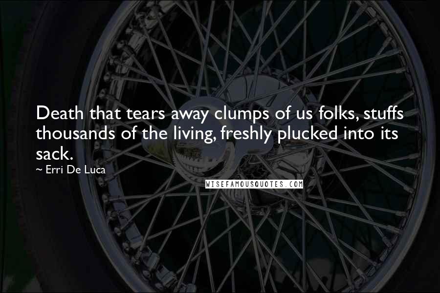 Erri De Luca Quotes: Death that tears away clumps of us folks, stuffs thousands of the living, freshly plucked into its sack.