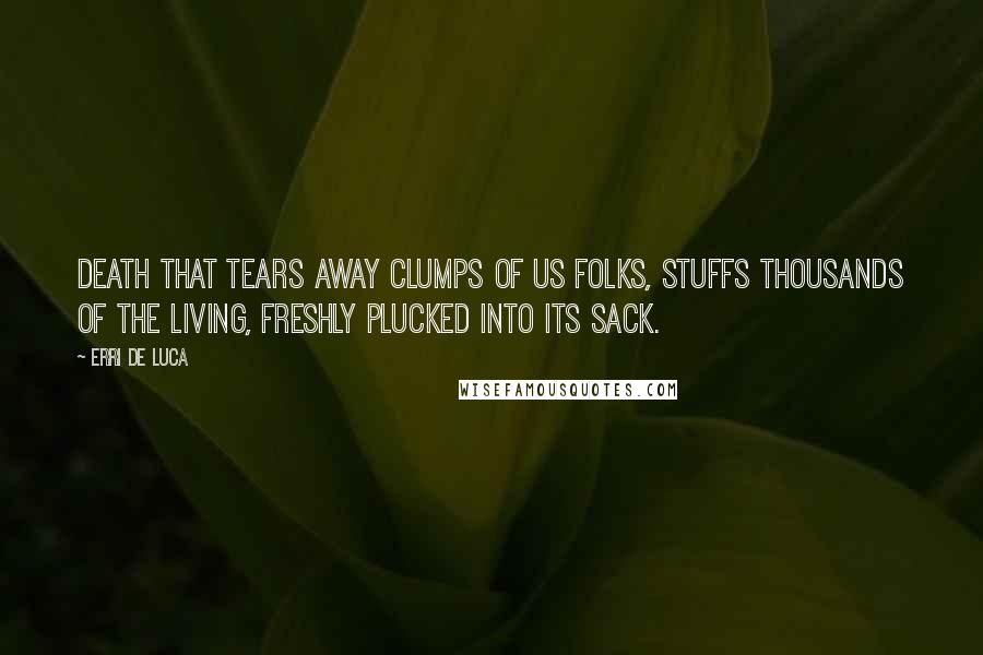 Erri De Luca Quotes: Death that tears away clumps of us folks, stuffs thousands of the living, freshly plucked into its sack.