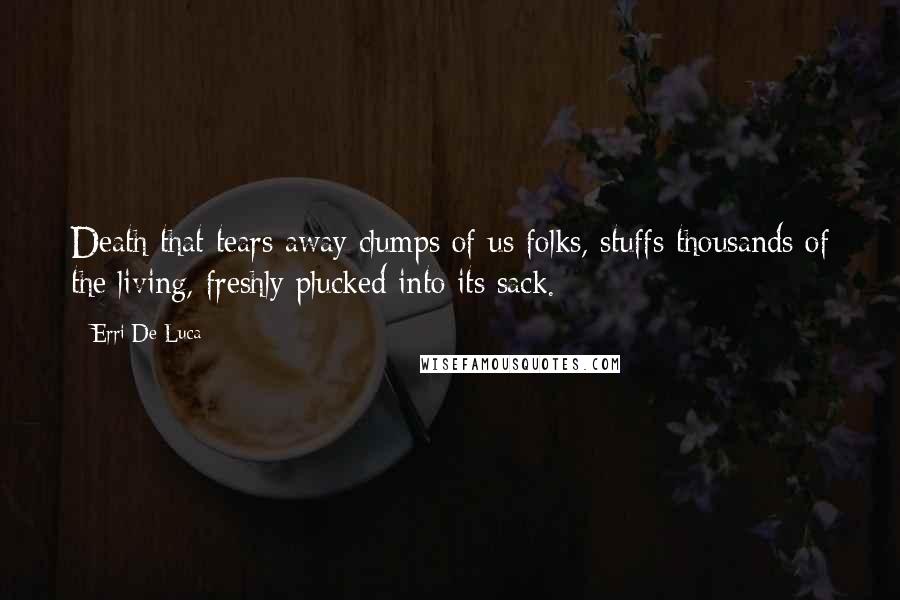 Erri De Luca Quotes: Death that tears away clumps of us folks, stuffs thousands of the living, freshly plucked into its sack.