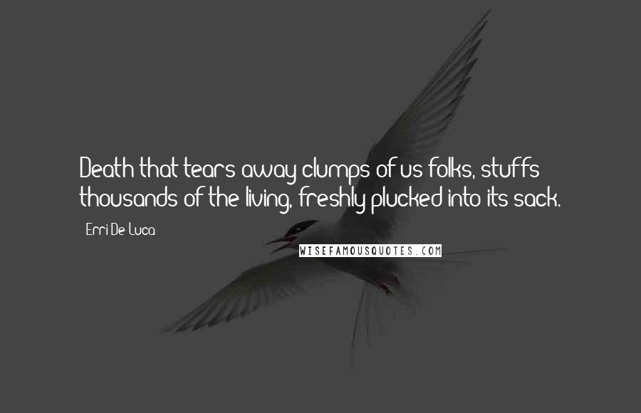 Erri De Luca Quotes: Death that tears away clumps of us folks, stuffs thousands of the living, freshly plucked into its sack.