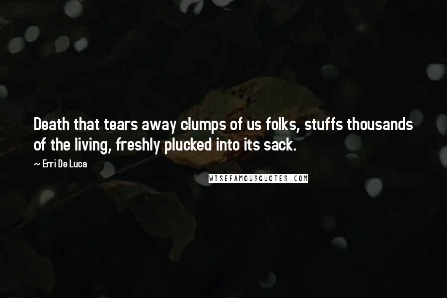 Erri De Luca Quotes: Death that tears away clumps of us folks, stuffs thousands of the living, freshly plucked into its sack.