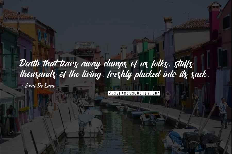 Erri De Luca Quotes: Death that tears away clumps of us folks, stuffs thousands of the living, freshly plucked into its sack.