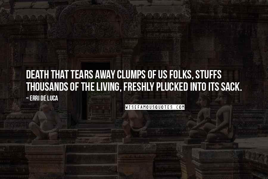 Erri De Luca Quotes: Death that tears away clumps of us folks, stuffs thousands of the living, freshly plucked into its sack.