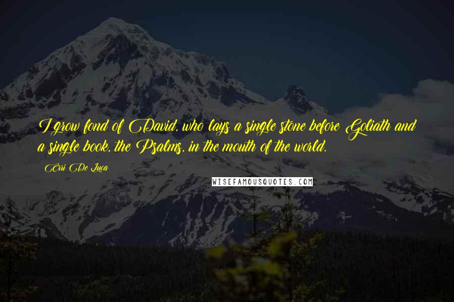 Erri De Luca Quotes: I grow fond of David, who lays a single stone before Goliath and a single book, the Psalms, in the mouth of the world.