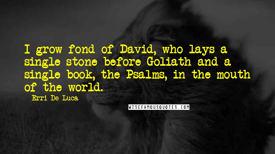 Erri De Luca Quotes: I grow fond of David, who lays a single stone before Goliath and a single book, the Psalms, in the mouth of the world.