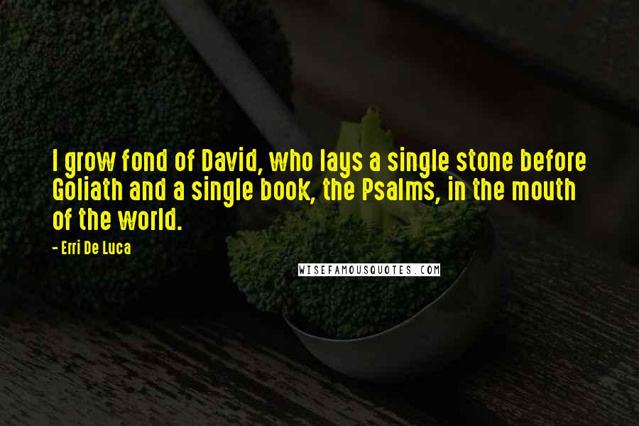 Erri De Luca Quotes: I grow fond of David, who lays a single stone before Goliath and a single book, the Psalms, in the mouth of the world.