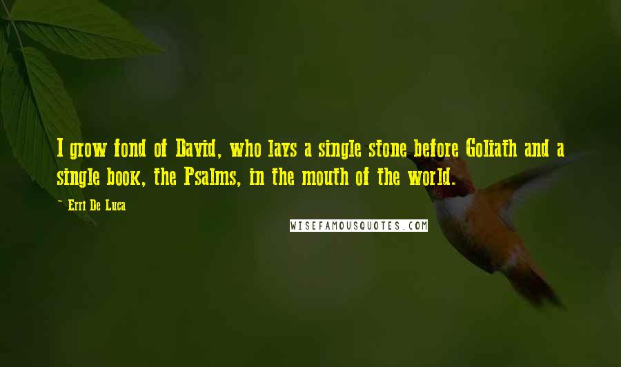 Erri De Luca Quotes: I grow fond of David, who lays a single stone before Goliath and a single book, the Psalms, in the mouth of the world.