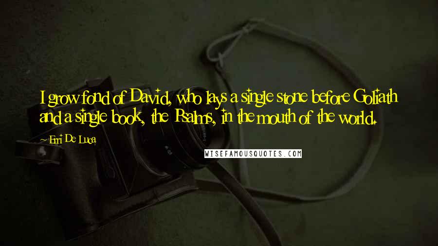 Erri De Luca Quotes: I grow fond of David, who lays a single stone before Goliath and a single book, the Psalms, in the mouth of the world.