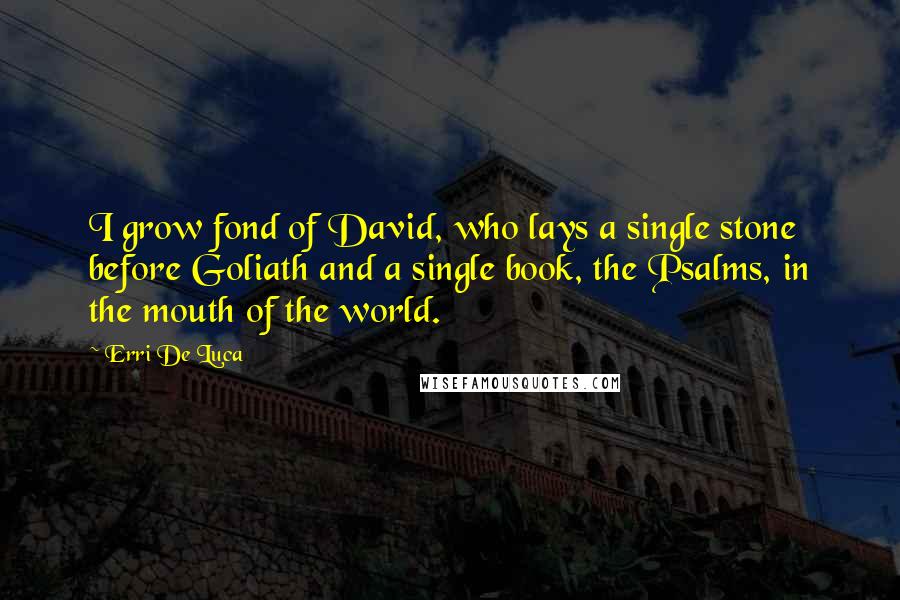 Erri De Luca Quotes: I grow fond of David, who lays a single stone before Goliath and a single book, the Psalms, in the mouth of the world.