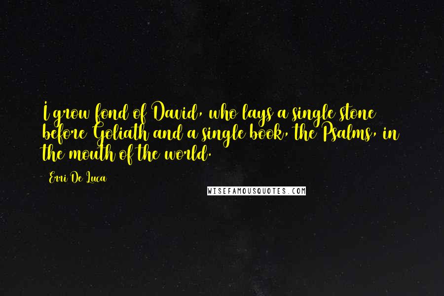 Erri De Luca Quotes: I grow fond of David, who lays a single stone before Goliath and a single book, the Psalms, in the mouth of the world.